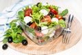 Bowl with fresh Tomato-Mozzarella Salad Royalty Free Stock Photo