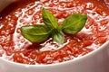 Bowl of fresh tomato puree