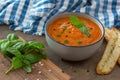 A bowl of fresh tomato soup in white ceramic bowl, garnished with basil, croutons, seasoning and a drizzle of olive oil Royalty Free Stock Photo