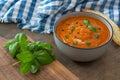 A bowl of fresh tomato soup in white ceramic bowl, garnished with basil, croutons, seasoning and a drizzle of olive oil Royalty Free Stock Photo