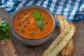 A bowl of fresh tomato soup in white ceramic bowl, garnished with basil, croutons, seasoning and a drizzle of olive oil Royalty Free Stock Photo