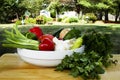 Bowl of Fresh Vegetables Royalty Free Stock Photo