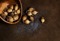 Bowl full of dry poppy pods with scattered poppy seeds Royalty Free Stock Photo