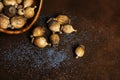 Bowl full of dry poppy pods with scattered poppy seeds Royalty Free Stock Photo