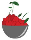 Bowl full of fresh cherries vector illustration