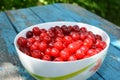 A bowl full of fresh ripe red sweet big cherries, summer berries as a source of vitamins Royalty Free Stock Photo