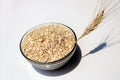 Bowl full of oats. Porridge oats in  cereal bowl on white background. A bowl of whole oats isolated on a white background. Royalty Free Stock Photo