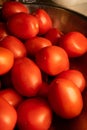 Bowl full of Red Tomatoes for Cooking at Supper time Royalty Free Stock Photo