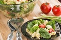 Bowl full of spinach and rotini pasta salad Royalty Free Stock Photo