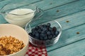 The bowl of granola, blueberries and cup of milk on the blue wooden background.