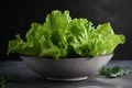 Bowl green lettuce food. Generate Ai