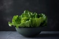 Bowl green lettuce. Generate Ai