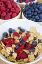 Bowl of Healthy Breakfast Cereals & Fruit Berries Royalty Free Stock Photo