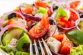 Bowl of Healthy Greek Salad Royalty Free Stock Photo