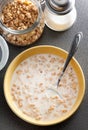 Bowl of healthy muesli and milk Royalty Free Stock Photo