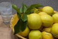 Bowl of Home Grown Organic Lemons with a Glass of Lemonade