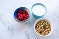 Bowl of homemade granola cereal with greek yogurt and fresh raspberry berries on white marble table background. Top view Royalty Free Stock Photo