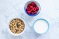 Bowl of homemade granola cereal with greek yogurt and fresh raspberry berries on white marble table background. Top view Royalty Free Stock Photo