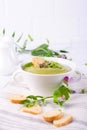 Bowl of homemade green spring pea soup topped with pumpkin seeds, croutons. On white Royalty Free Stock Photo