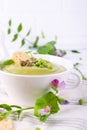 Bowl of homemade green spring pea soup topped with pumpkin seeds, croutons. On white Royalty Free Stock Photo