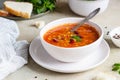 A bowl of homemade red bean and lentil soup, bread and parsley on stone background. Vegetable spicy soup Royalty Free Stock Photo