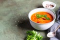 A bowl of homemade red bean and lentil soup, bread and parsley on stone background. Vegetable spicy soup Royalty Free Stock Photo