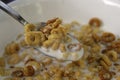 Bowl of honey oat cheerios cereal with milk Royalty Free Stock Photo