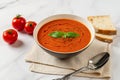 Bowl of hot tomato soup over marble background. Hot vegetable soup puree, spoon and bread. Healthy vegetarian dish of roasted Royalty Free Stock Photo