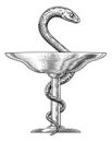 Bowl of Hygieia Snake Medical Pharmacist Icon