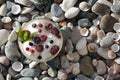 Bowl of ice cream with berries and mint leaves, top view with copy space Royalty Free Stock Photo