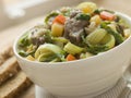 Bowl of Irish Stew with Soda Bread Royalty Free Stock Photo