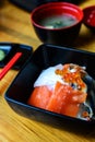 Bowl of Japanese mix sashimi don on rice Royalty Free Stock Photo