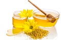 Bowl and the jar of honey near a pile of pollen and flower