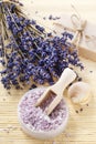 Bowl of lavender sea salt Royalty Free Stock Photo