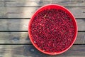 In a bowl, lingonberries, wild berries, next to a harvester for collection, on a wooden background. Harvesting concept Royalty Free Stock Photo