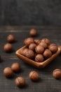 Bowl of macadamia nuts Royalty Free Stock Photo