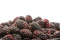 Bowl of Marionberries on white Royalty Free Stock Photo