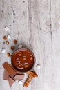 Bowl of melted milk chocolate with hazelnuts. View from above Royalty Free Stock Photo