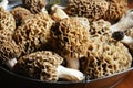 Bowl of Morel Mushrooms