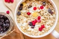 Bowl of muesli with currants top view Royalty Free Stock Photo