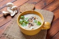 A bowl of Mushroom Cream Soup with fried champignons and fresh parsley Royalty Free Stock Photo