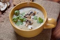 A bowl of Mushroom Cream Soup with fried champignons and fresh parsley. Royalty Free Stock Photo