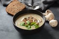 A bowl of Mushroom Cream Soup with fried champignons and fresh parsley. Royalty Free Stock Photo