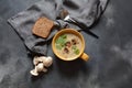 A bowl of Mushroom Cream Soup with fried champignons and fresh parsley Royalty Free Stock Photo