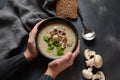 A bowl of Mushroom Cream Soup with fried champignons and fresh parsley. Royalty Free Stock Photo