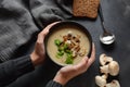 A bowl of Mushroom Cream Soup with fried champignons and fresh parsley. Royalty Free Stock Photo