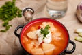 Bowl of national Ukrainian borshch or borscht served with sour cream, parsley and vodka or moonshine shot. Royalty Free Stock Photo