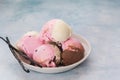 Bowl of Neapolitan ice cream scoops Royalty Free Stock Photo