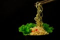 Bowl of noodles with vegetables isolated on black,Dried chinese Royalty Free Stock Photo