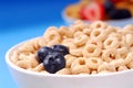 Bowl of oat cereal with blueberries Royalty Free Stock Photo